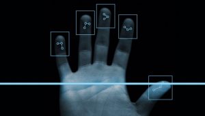 Reprizzo | biometria | Geometria de Mãos e Dedos